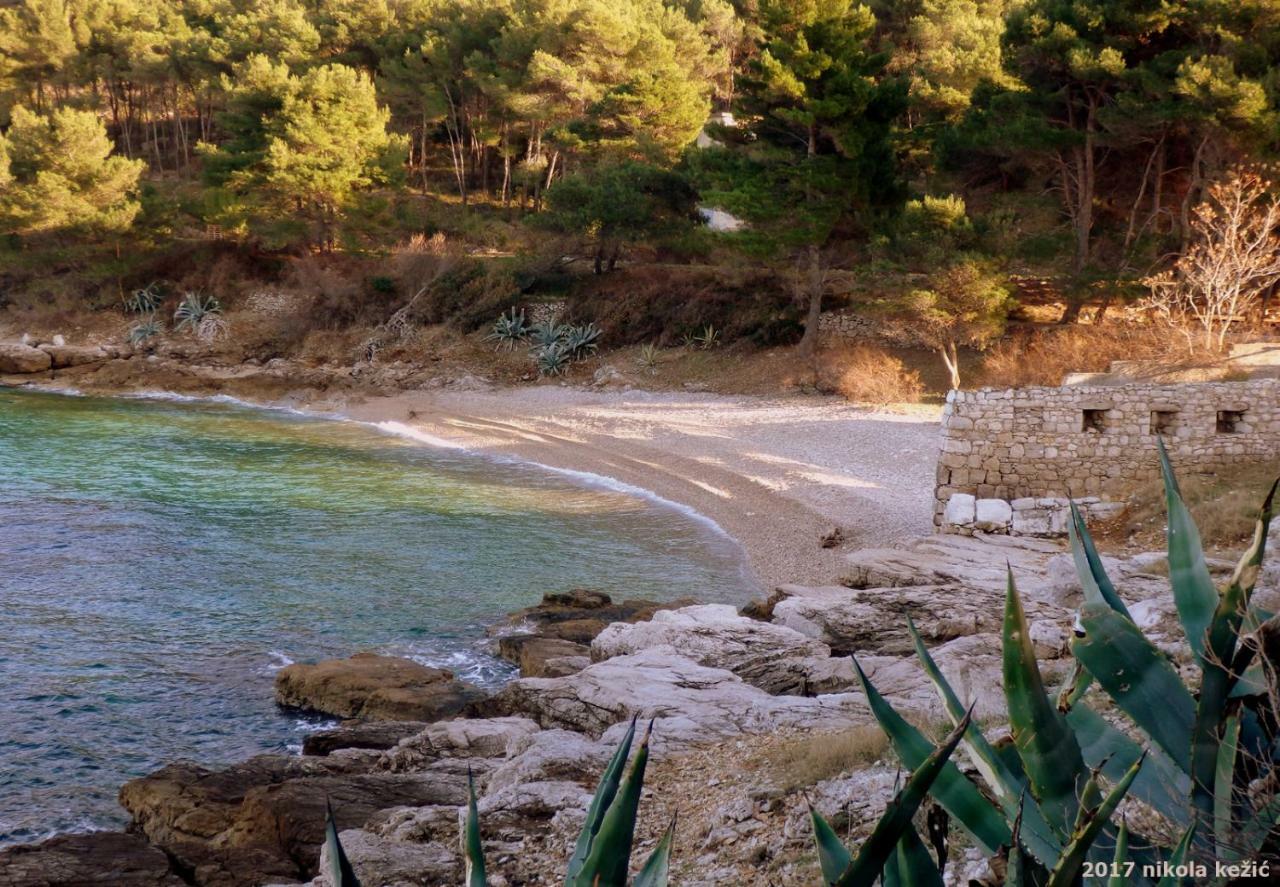 Guesthouse Torga Vis Island Bagian luar foto